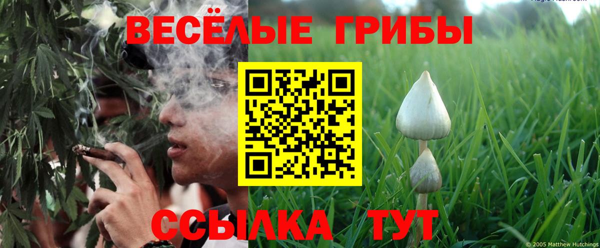 цены наркотик  Псилоцибиновые грибы мухоморы  Вход с VPN  Заинск 